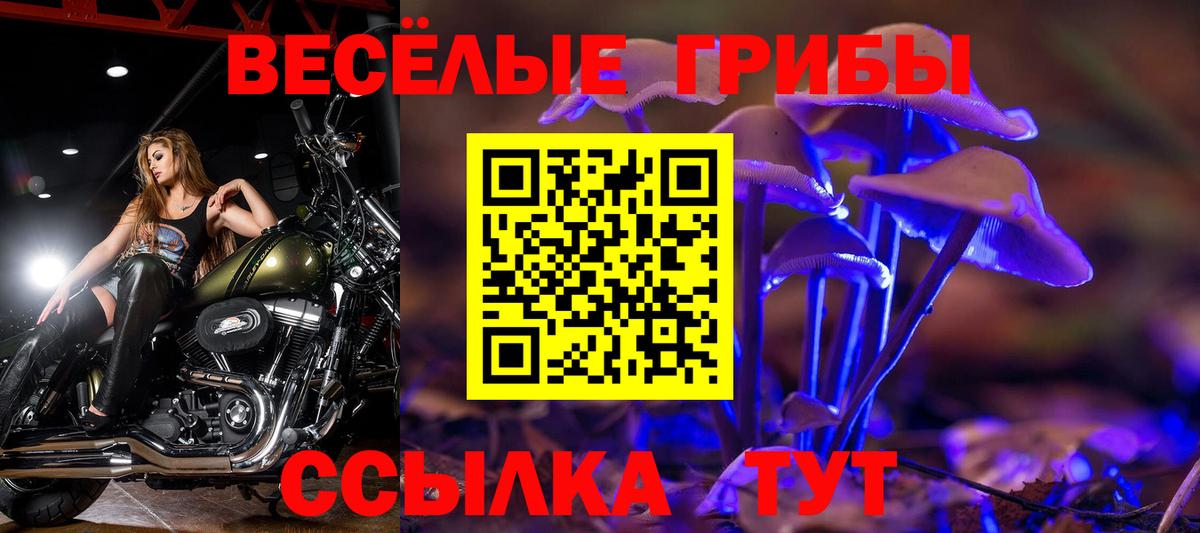 Галлюциногенные грибы прущие грибы  Вход с VPN  Саров 
